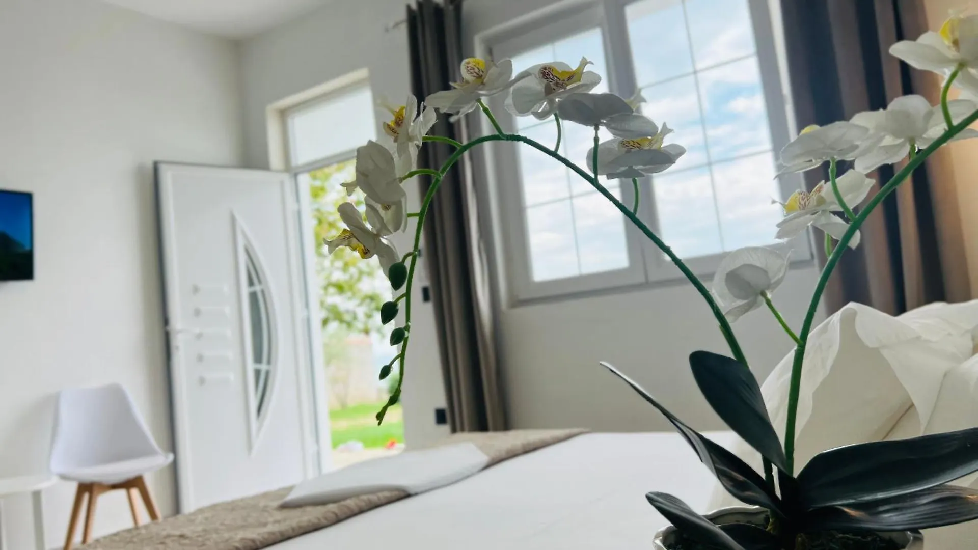 Iart Residence Široka 0*,