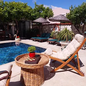 bademici-otel.aegeanhotels.net/