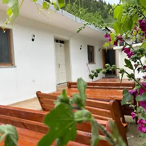 Guest house Thethi Mountain, Theth